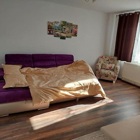 Apartament In Sighetu Marmatiei Apartment Exterior photo