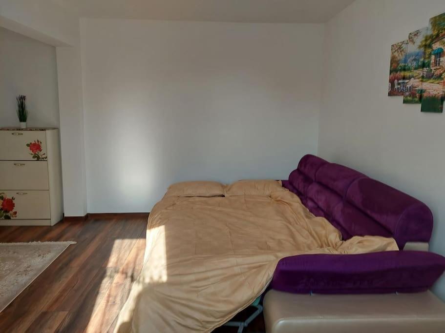 Apartament In Sighetu Marmatiei Apartment Exterior photo