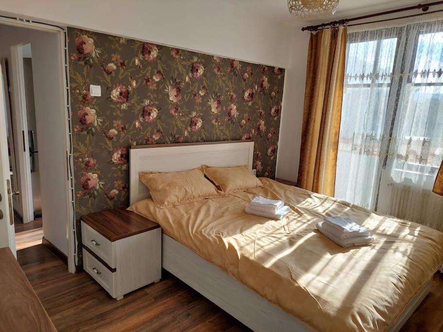 Apartament In Sighetu Marmatiei Apartment Exterior photo