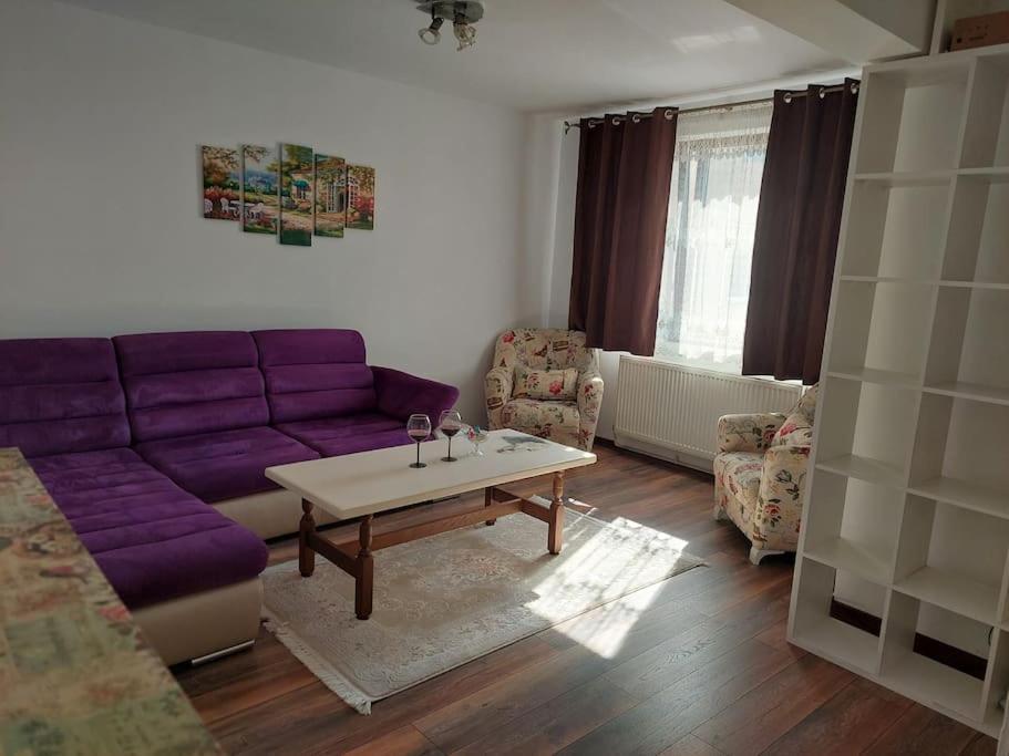 Apartament In Sighetu Marmatiei Apartment Exterior photo
