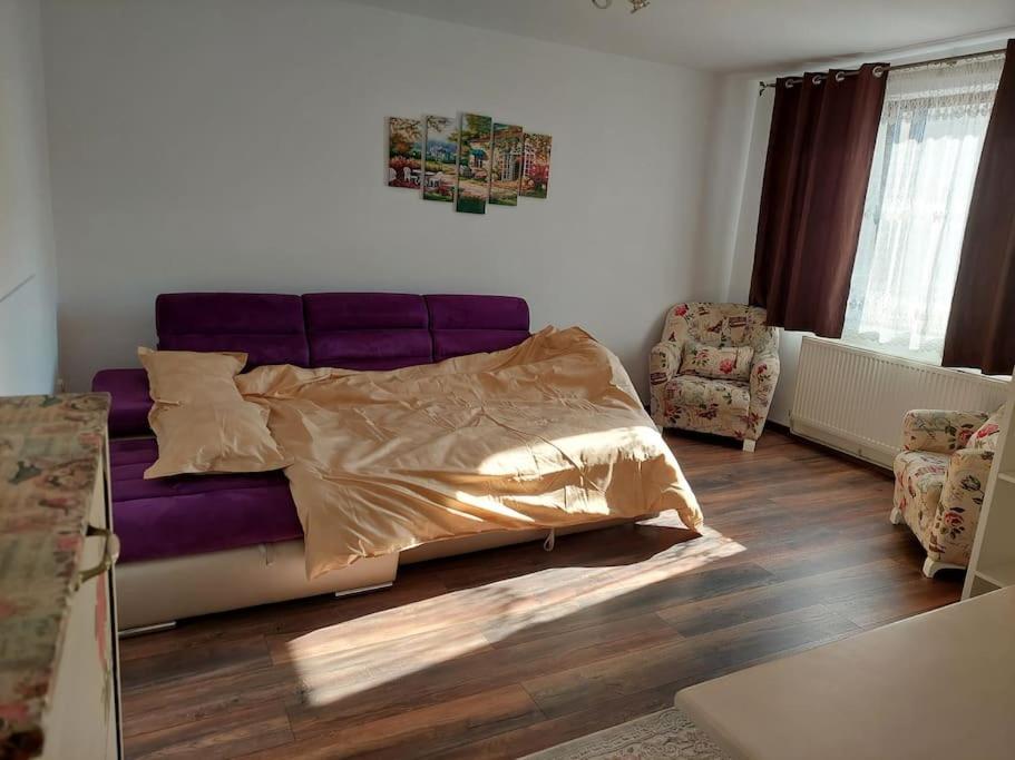 Apartament In Sighetu Marmatiei Apartment Exterior photo